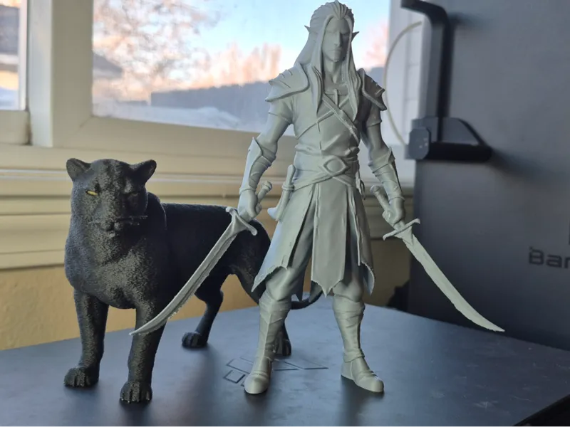 Drizzt and Guenhwyvar