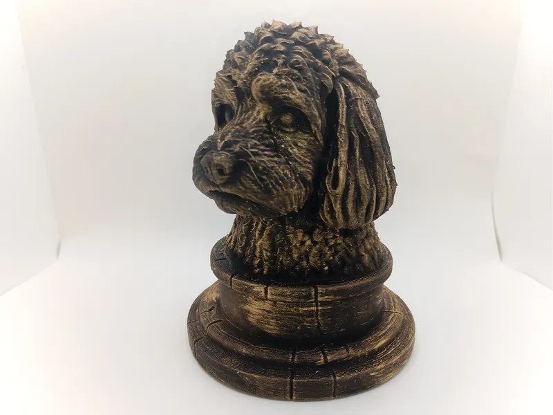 Cavapoo Bust