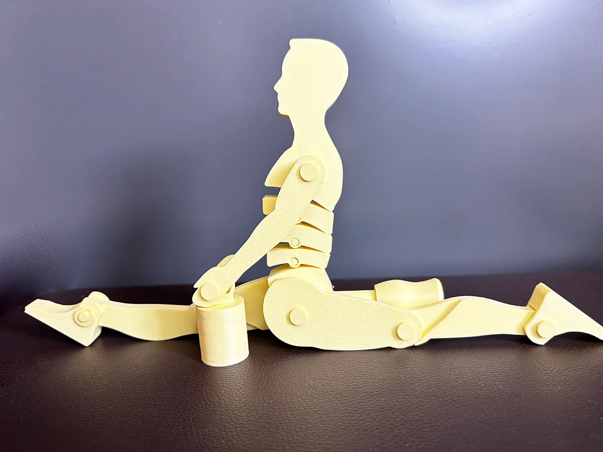 Medical/Teaching Bone Pressure Props view 4