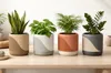 Planter V2 "Wave" for small plants – inner diameter 8,6 cm