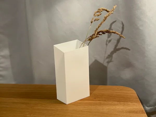 https://makerworld.bblmw.com/makerworld/model/USa296621a0436b3/design/2024-12-06_d907d62571fb7.jpg
