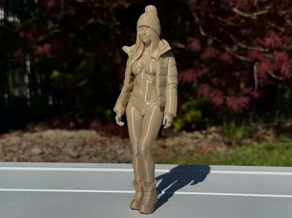 https://makerworld.bblmw.com/makerworld/model/USa29d2f82578d24/design/d38abaf09a8b2002.jpeg