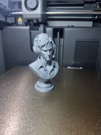 0.12mm layer, 2 walls, 15% infill