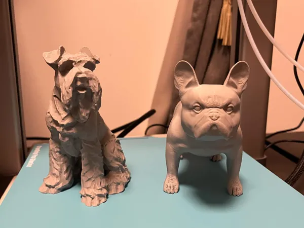https://makerworld.bblmw.com/makerworld/model/USa2a0c614d2d797/design/2025-01-13_a563231cf351b.jpg