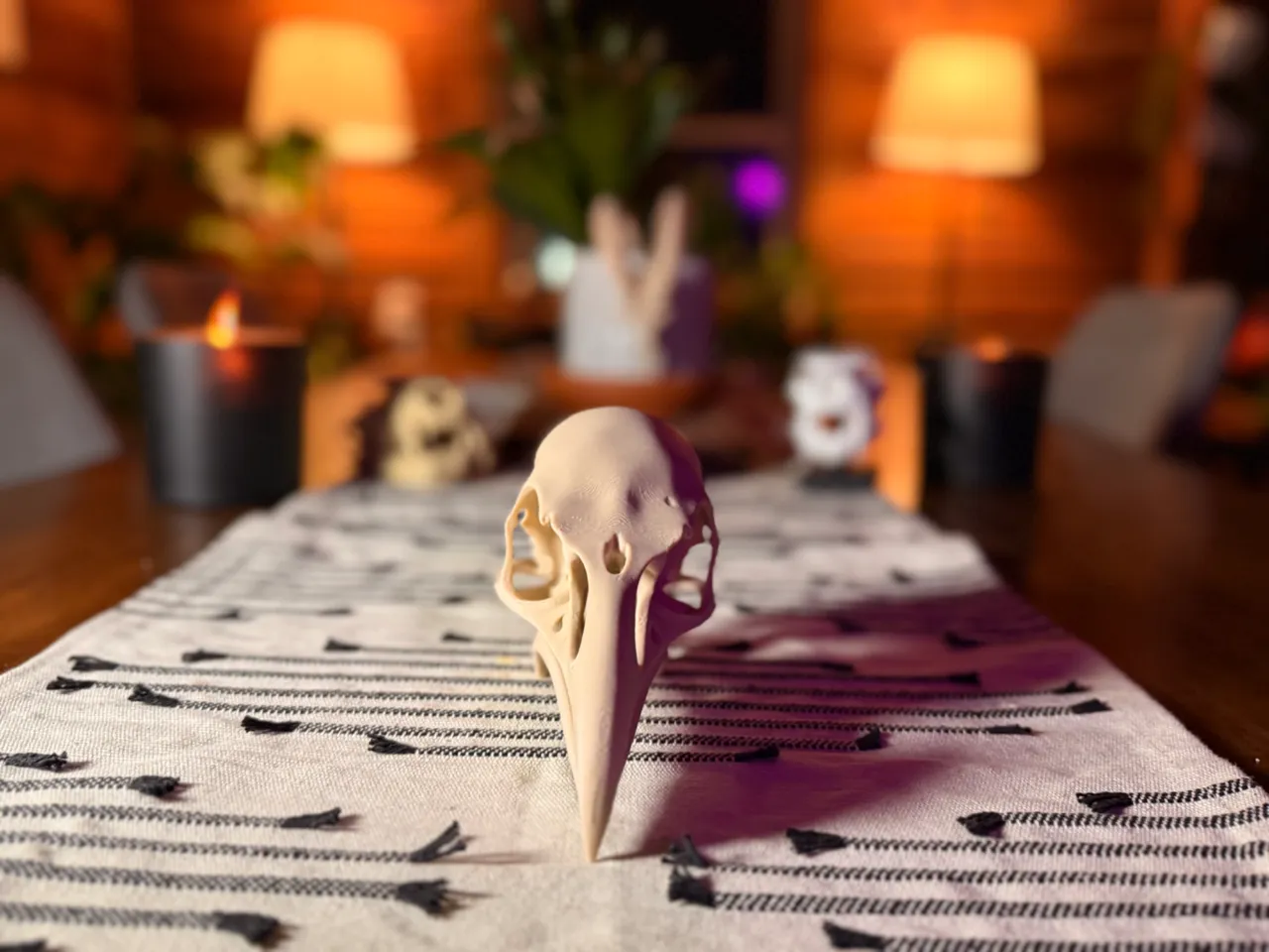 Raven Skull Fossil (Super Clean) view 2