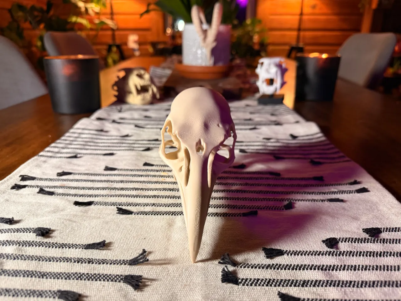 Raven Skull Fossil (Super Clean) view 3