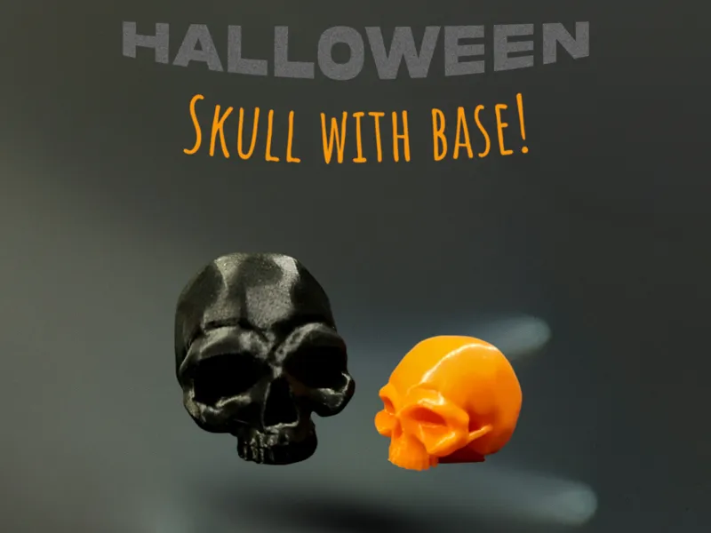 Half Skull with Base