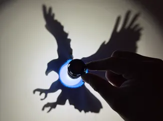 Eagle Shadow Illusion – Anamorphic 3D Sculpture