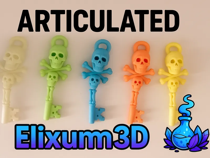 Articulated Skull Key 