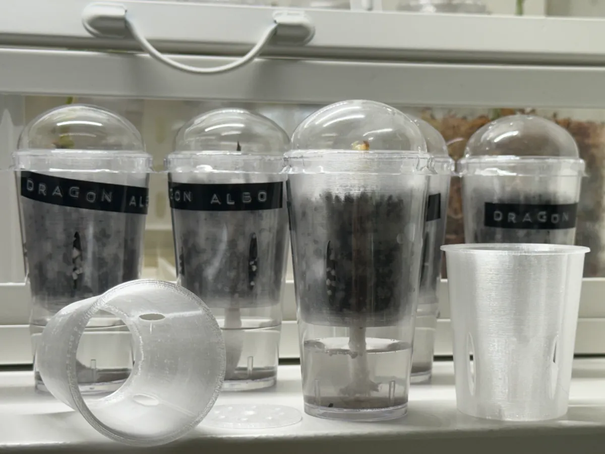 CormPod - Self-Watering Corm Propagation Insert - Free 3D Print Model ...