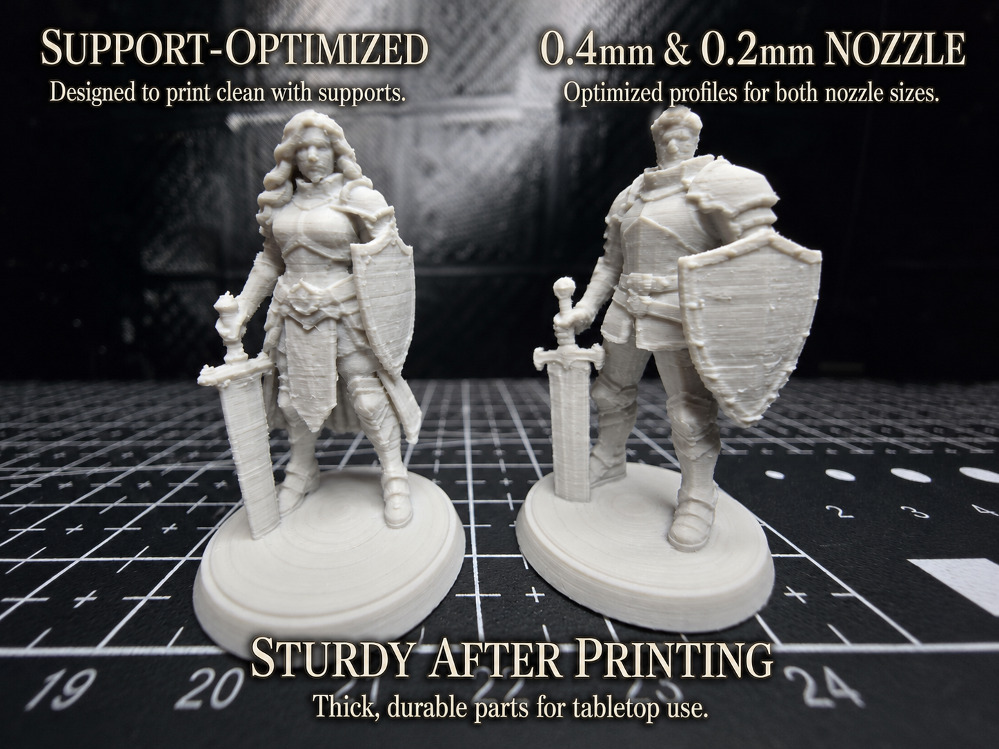 Sword & Shield Knight Duo -  Print-Ready DnD Minis
