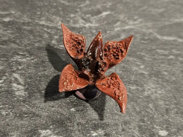 https://makerworld.bblmw.com/makerworld/model/USa2c22882b1844a/design/2024-07-10_68957468d081e.jpeg
