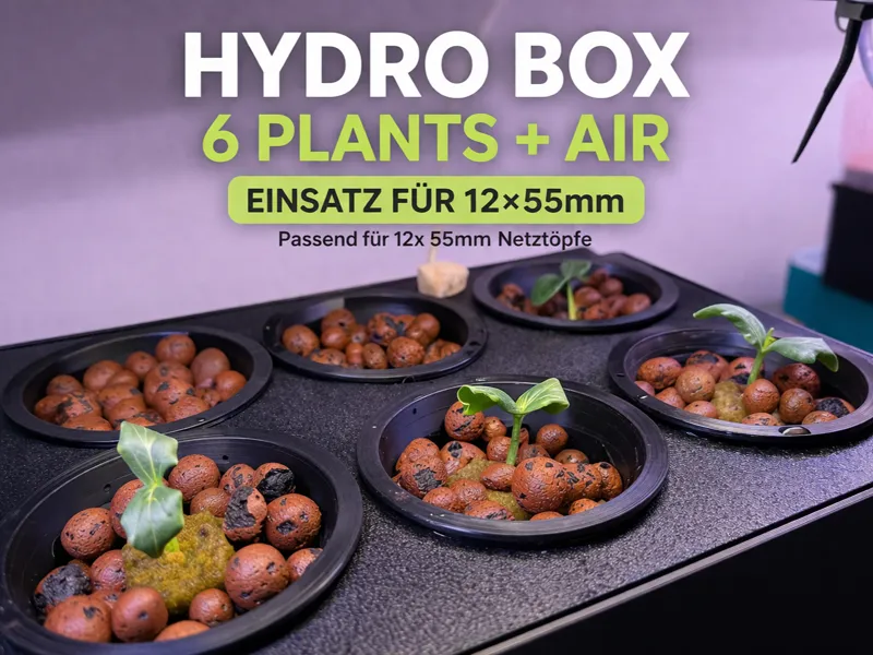 Hydroponik Box für 6 Pflanzen Perfekt für Gurken,.