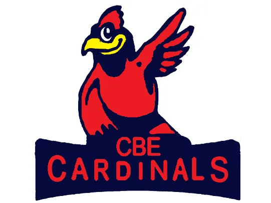 cbe FLEXI
