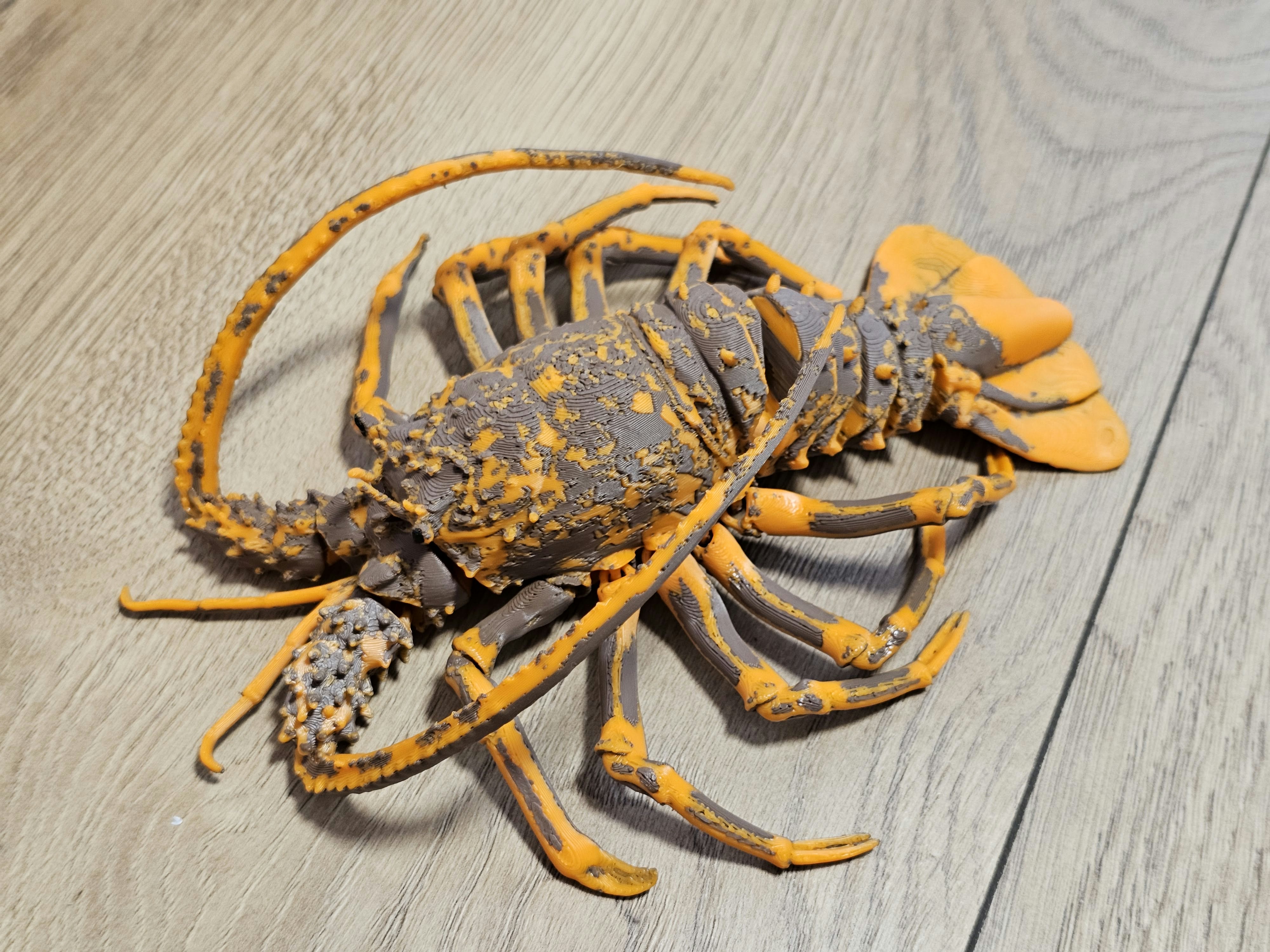 Sea Creature - Spiny Lobster - 1