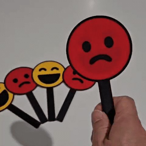 Decision Paddle