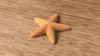 Starfish decoration 100 mm wide