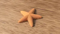 Starfish decoration 100 mm wide