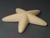 Starfish solid textured surface