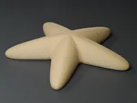 Starfish solid textured surface