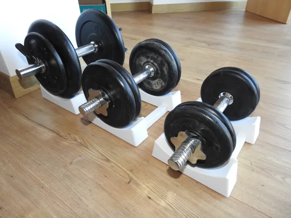 https://makerworld.bblmw.com/makerworld/model/USa2d5dcb0aac1b3/design/2025-12-31_b2aebbc6f18a88.jpg