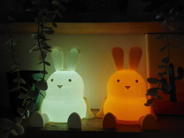 https://makerworld.bblmw.com/makerworld/model/USa2d61d998681c1/design/2025-02-24_197515325003f.jpg