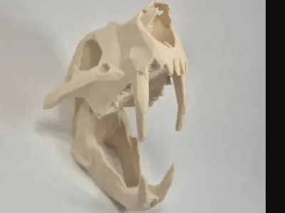 lion skull