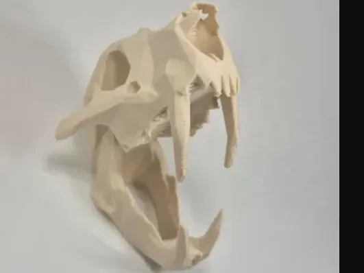 lion skull