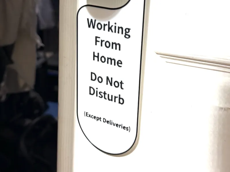 Working From Home Do Not Disturb Door Singer
