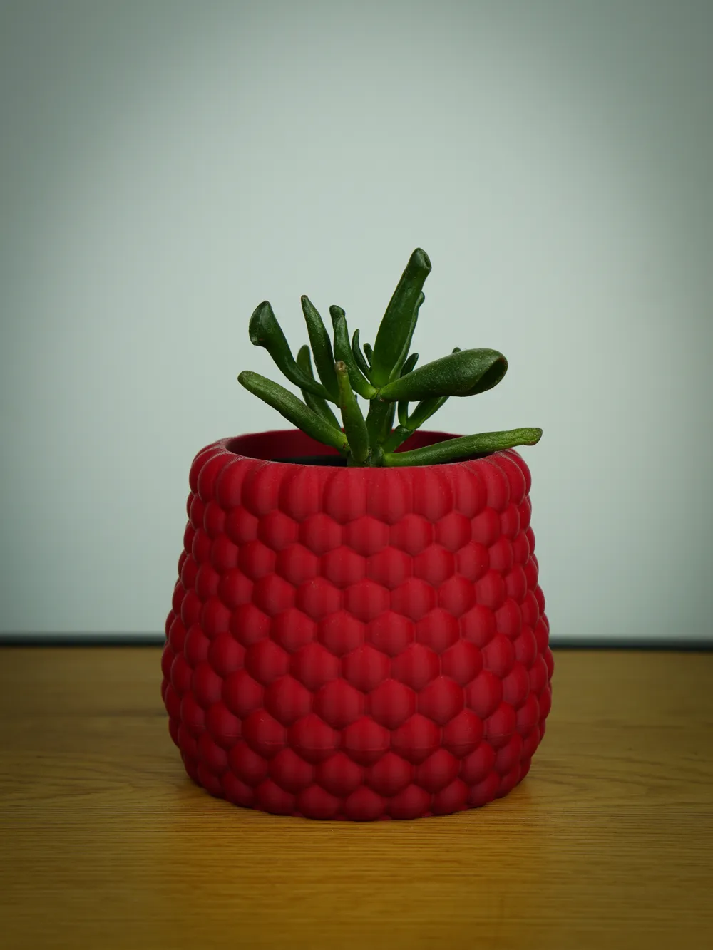 PLANTER WITH TWISTABLE DRIP TRAY - BUBBLES - Free 3D Print Model ...