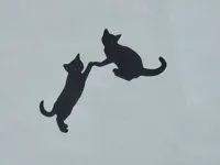 Décoration chat pour interrupteur — photo 3