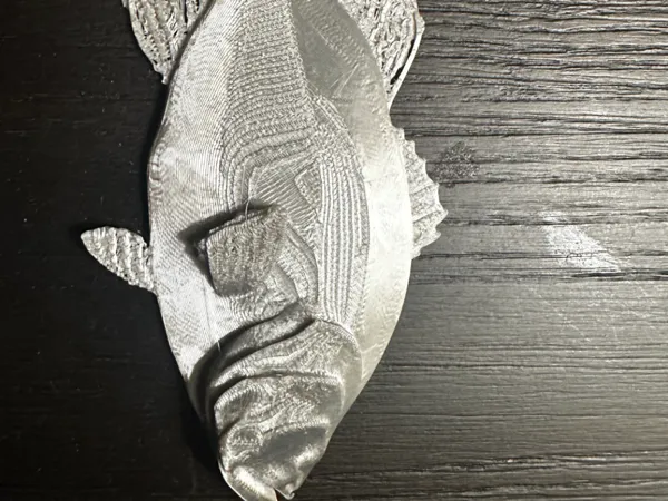 https://makerworld.bblmw.com/makerworld/model/USa2f04725874fd2/design/2025-07-16_bd24f75ed71a3.jpg