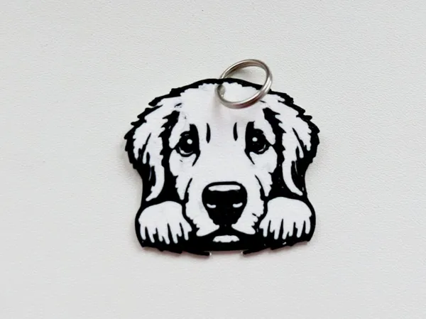 https://makerworld.bblmw.com/makerworld/model/USa2f2269f52049c/design/2025-04-15_9484365a1953d.jpg