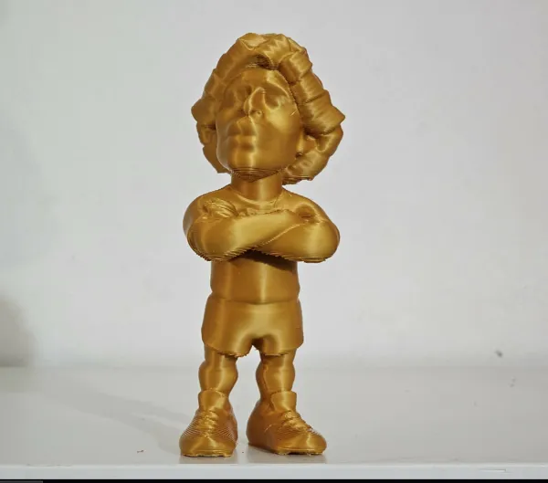 https://makerworld.bblmw.com/makerworld/model/USa2f6e44a202c54/design/2024-01-24_214ff04326f6e8.png