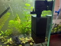 0.2mm layer, 3 walls, 15% infill