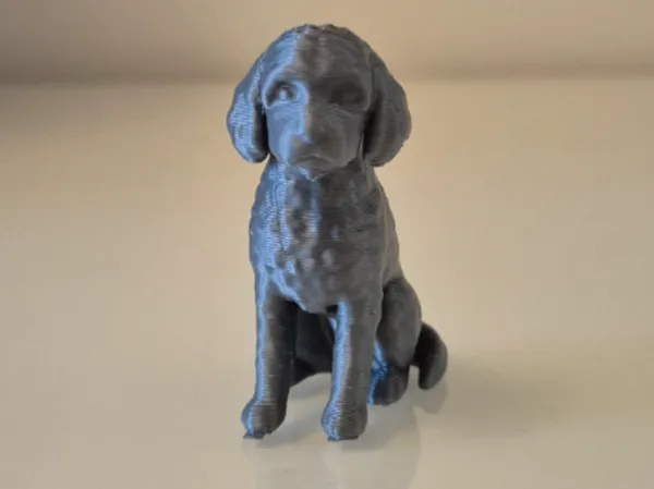 https://makerworld.bblmw.com/makerworld/model/USa2fade6cae320c/design/2b059833bb0d4017.jpg