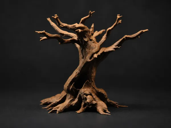 https://makerworld.bblmw.com/makerworld/model/USa2fb0558c854c3/design/6aaffa85d26bbd92.png