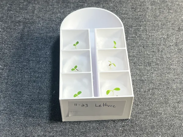 https://makerworld.bblmw.com/makerworld/model/USa3077a6aed1d88/design/2024-11-28_224d72352e196.jpeg