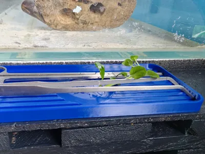 Tray for Aquarium Accessories