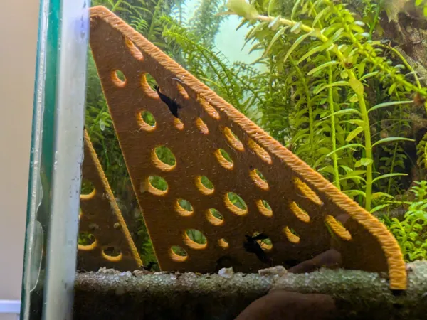 https://makerworld.bblmw.com/makerworld/model/USa30eacc64e35dc/design/b6685384e3469f5d.jpg