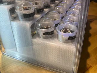 Corm Propagation Rack + Humidity Base