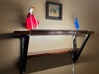 Double-Decker Lighted Display Shelf