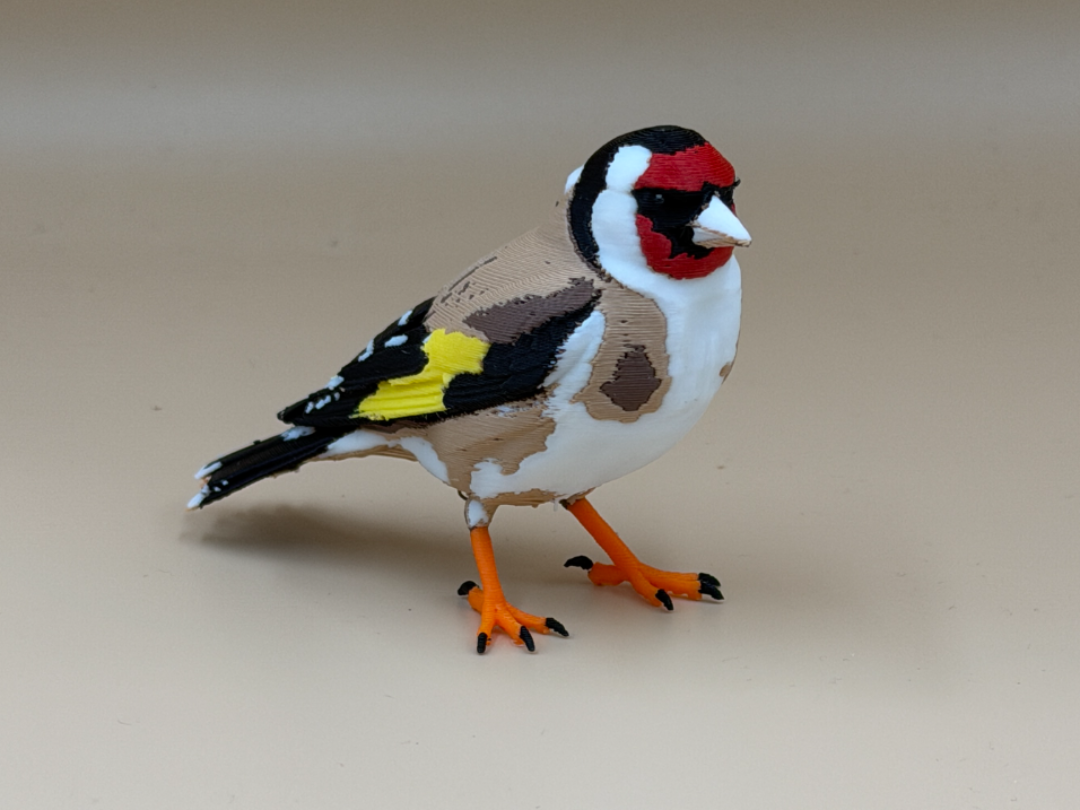 The Golden Gentleman – European Goldfinch - 1