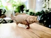 Smallmouth Bass - A1 Mini MAX