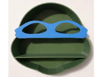 TMNT Teenage Mutant Ninja Turtle Shelf