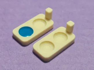 Ant feeding tray