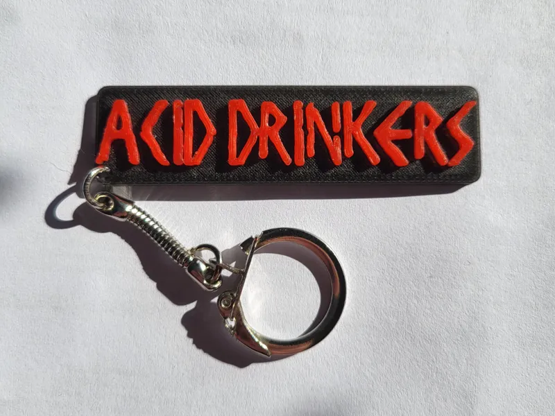 Acid Drinkers keychain