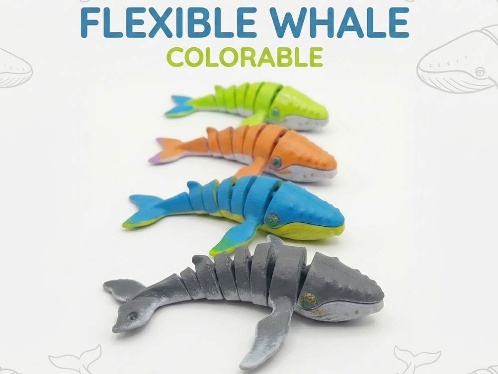 Balena Flessibile Whale Flexi colorabile