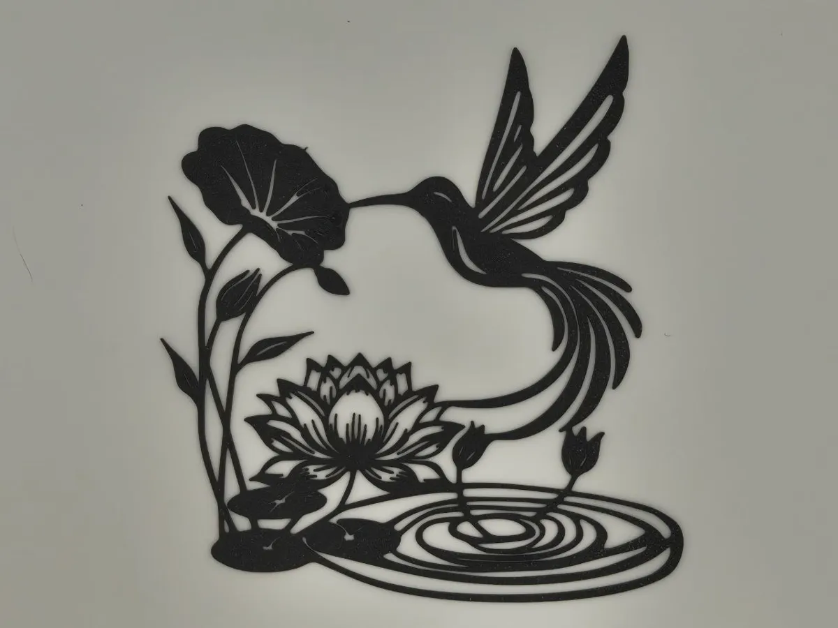 Silhouette de colibri