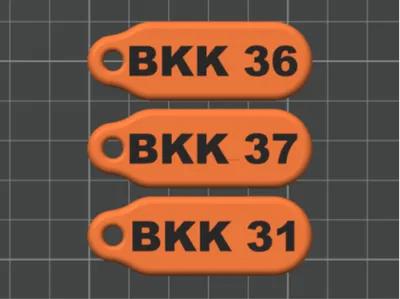 Light Rigid Vehicle Tags